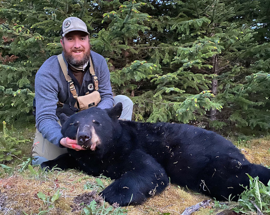 Alaskan Black Bear